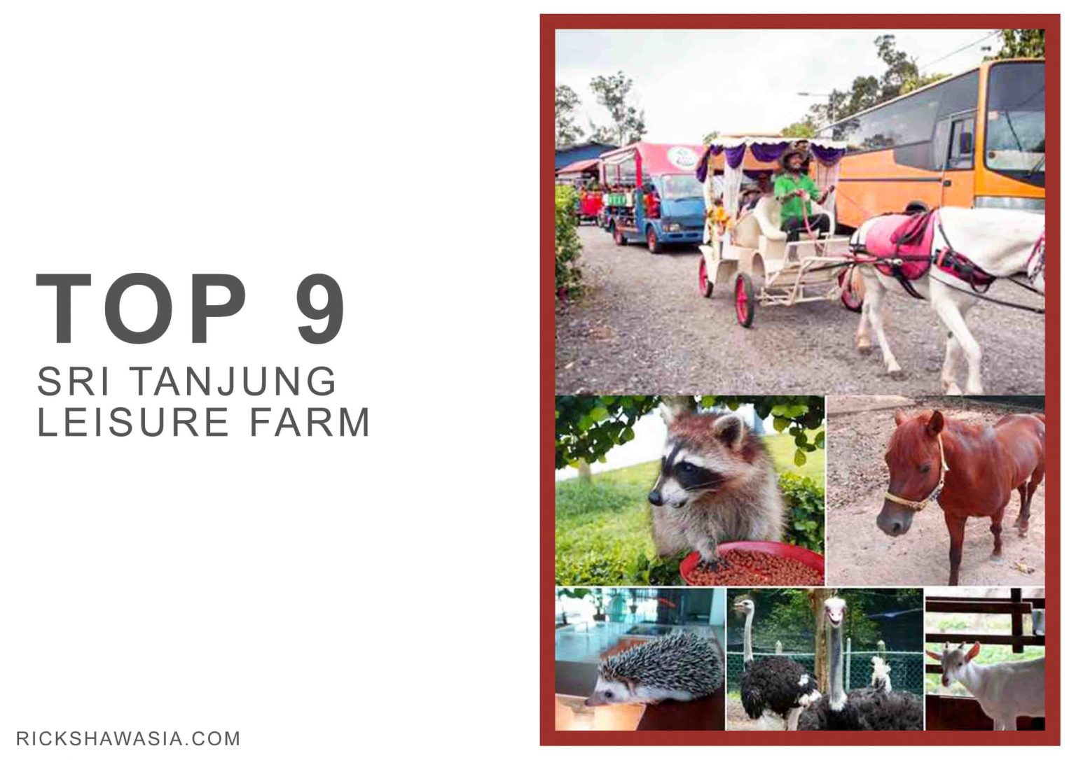 Top 10 Eco Farms Resorts Park In Johor RICKSHAW ASIA TRANSPORTATION