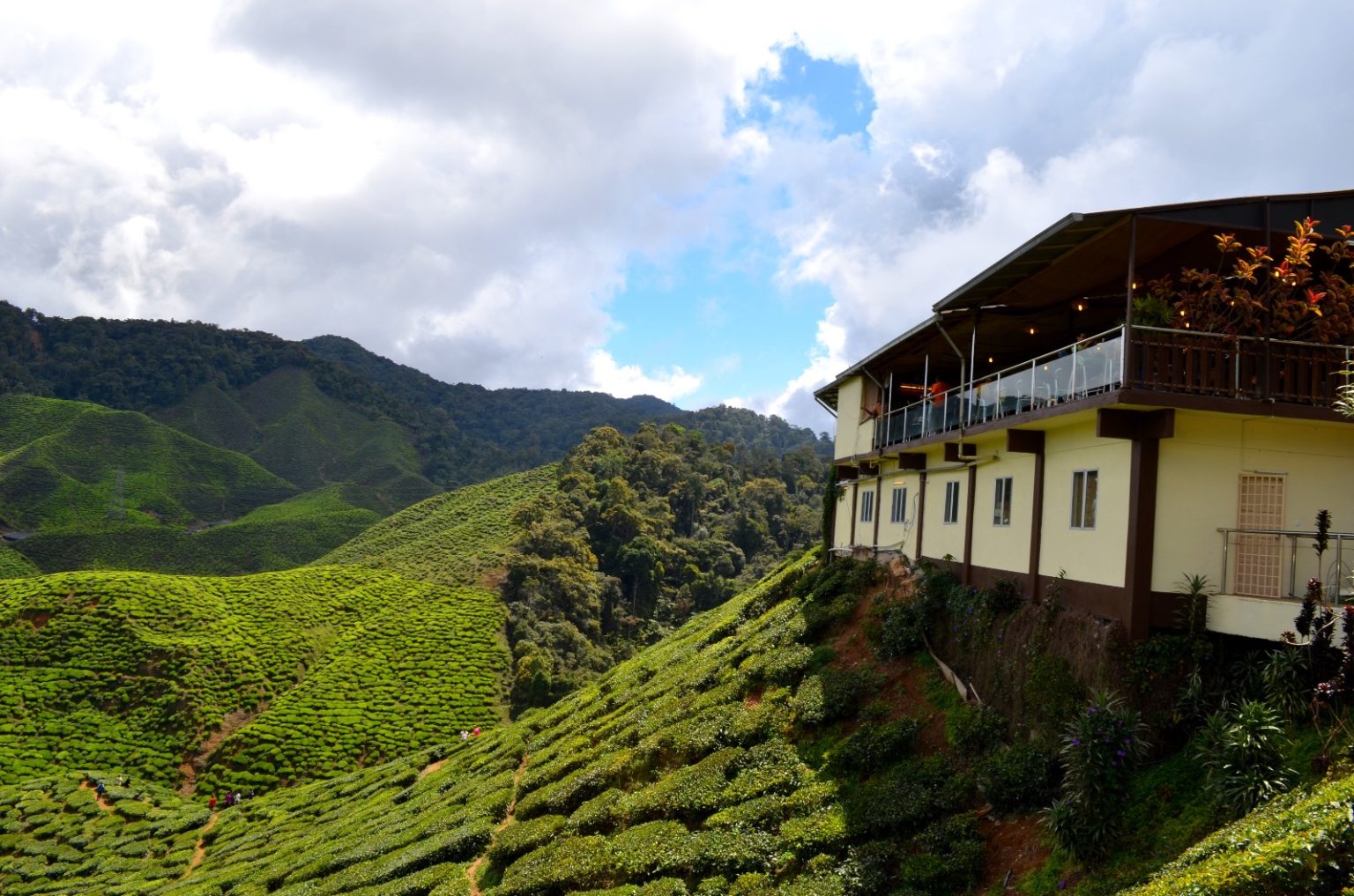 8 Western-Style Café in Cameron Highlands - RICKSHAW ASIA