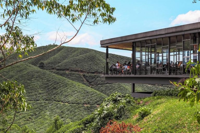 8 Western-Style Café in Cameron Highlands – Rickshaw Transport Enterprise