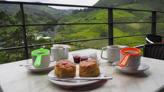 8 Western-style Café In Cameron Highlands – Rickshaw Transport Enterprise