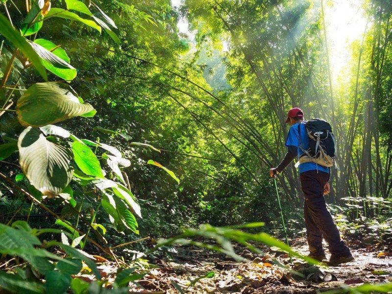 Guide To Trekking In The Cameron Highlands Rickshaw Transport Enterprise