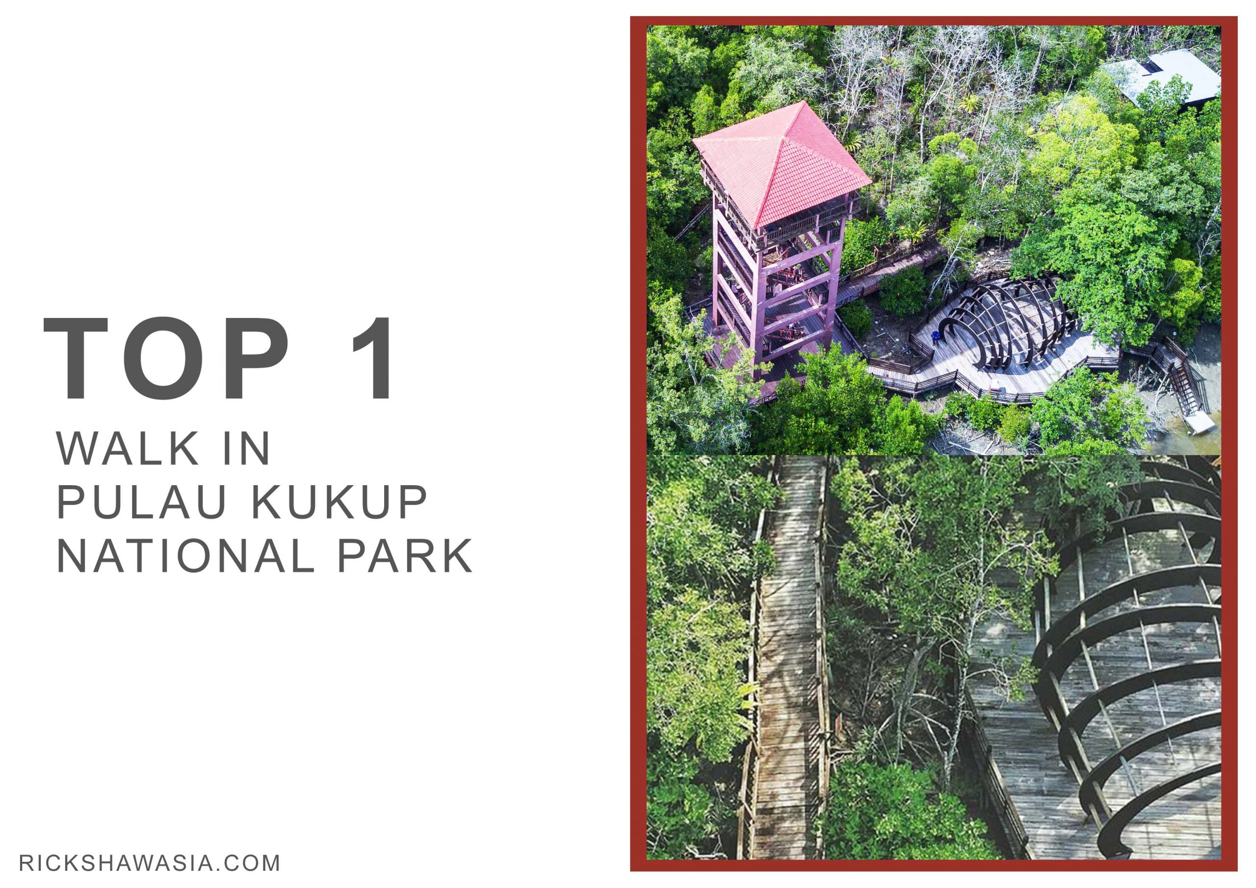Top 7 Things To Do In Kukup - RICKSHAW ASIA TRANSPORTATION